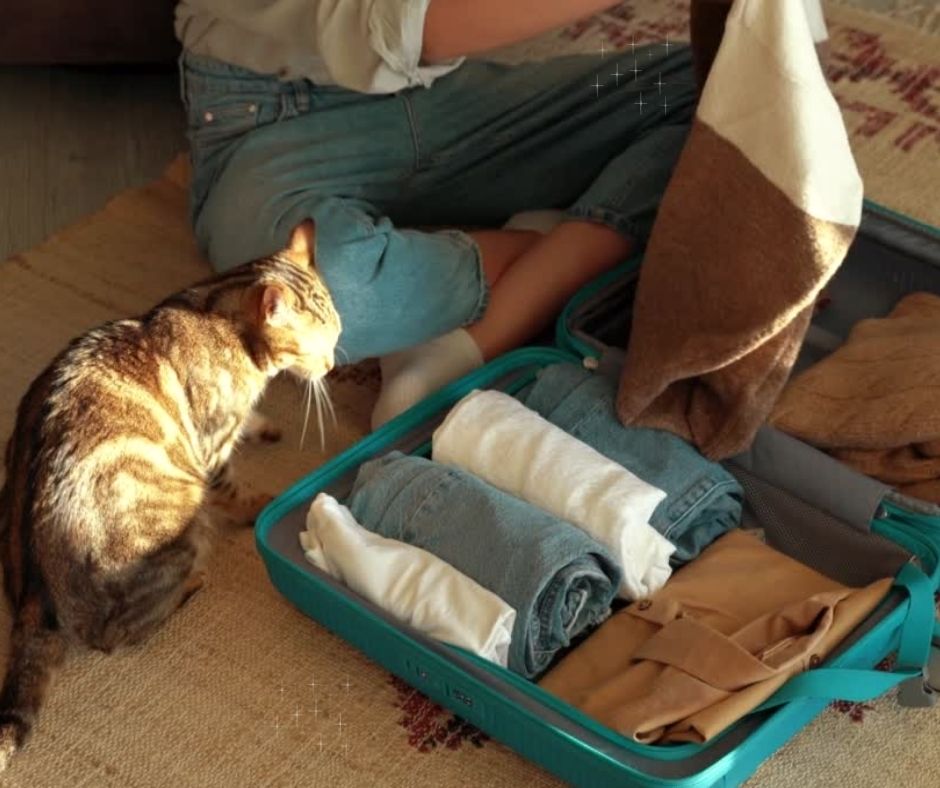 Travel with My Sassy Bag - Pack Your Suitcase with Extra Covers!